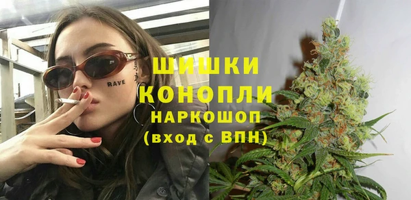 ПСИЛОЦИБИНОВЫЕ ГРИБЫ Заводоуковск