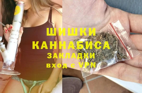 ПСИЛОЦИБИНОВЫЕ ГРИБЫ Заводоуковск