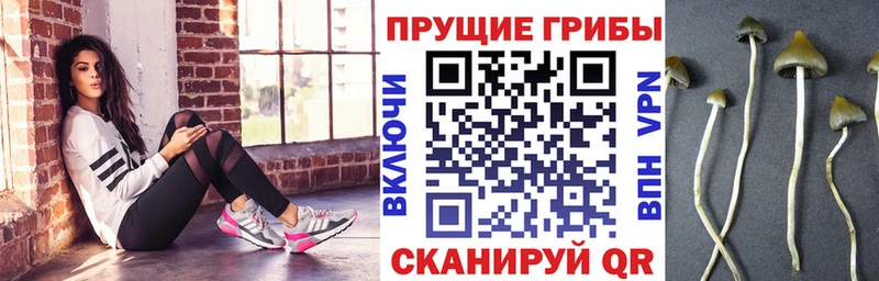 купить наркоту  Арзамас  ОМГ ОМГ tor  Псилоцибиновые грибы мухоморы 