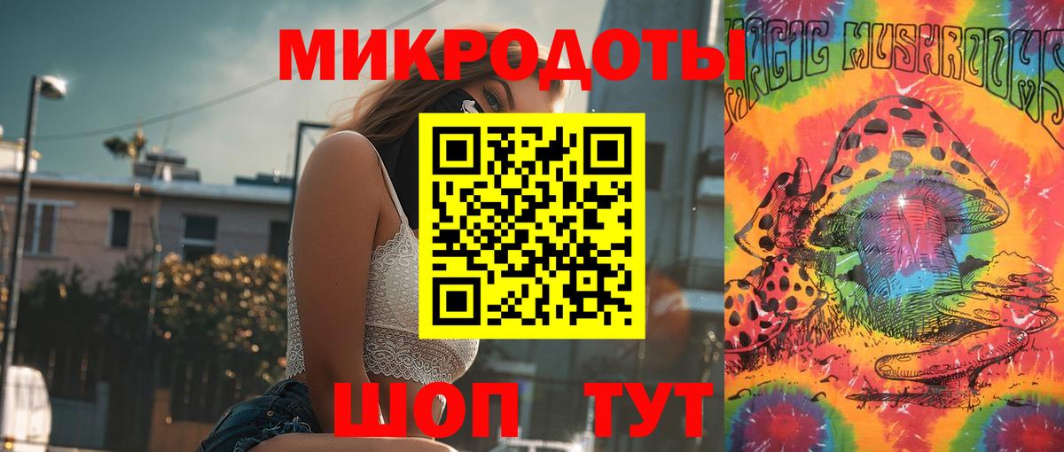 Псилоцибиновые грибы мицелий Арзамас