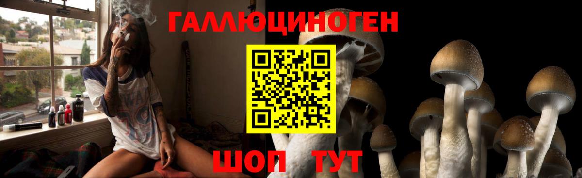 цена   Галлюциногенные грибы прущие грибы  Арзамас  Вход с VPN  Галлюциногенные грибы мухоморы 